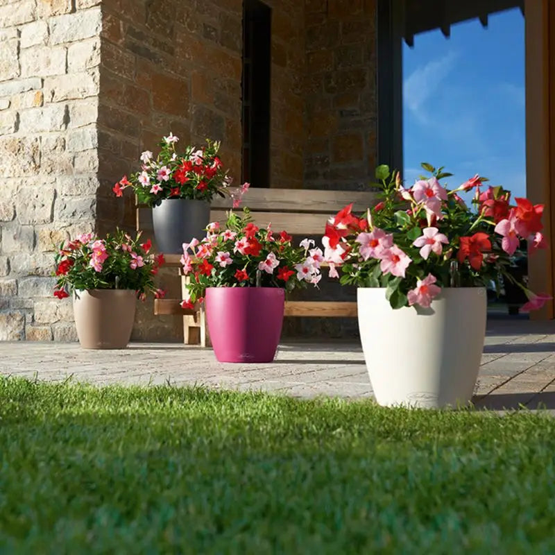 Self Watering Planter Pot