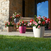 Self Watering Planter Pot
