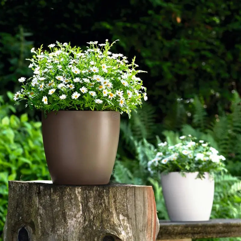 Self Watering Planter Pot