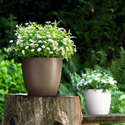 Self Watering Planter Pot