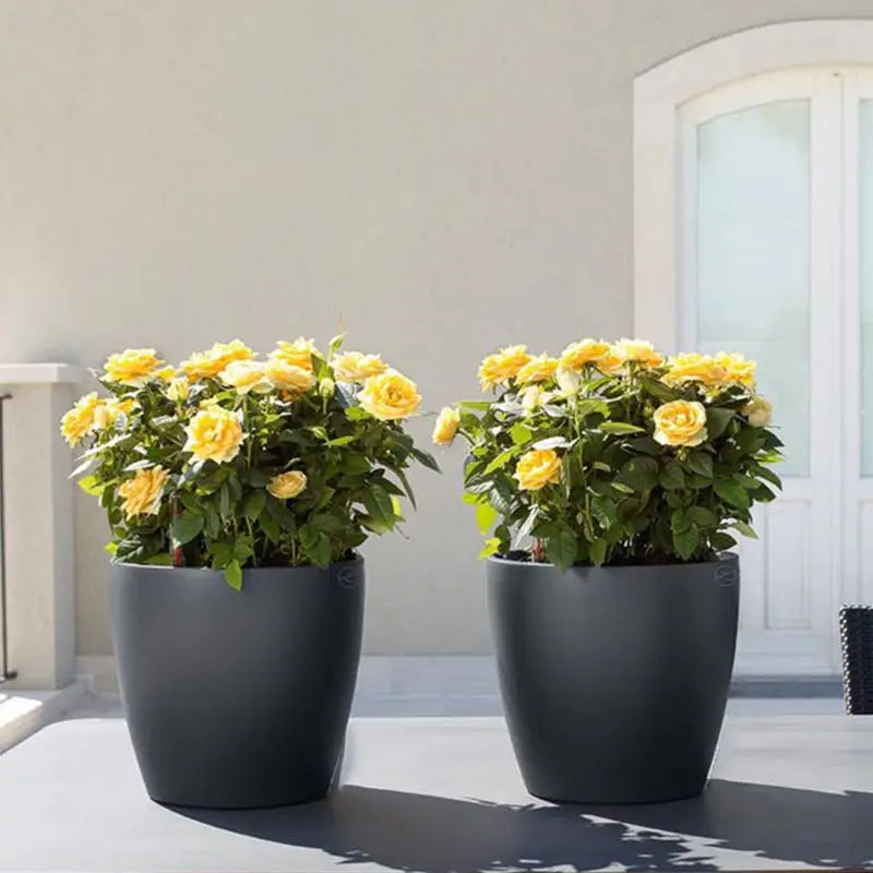 Self Watering Planter Pot