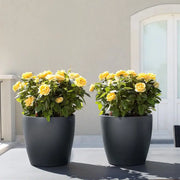 Self Watering Planter Pot