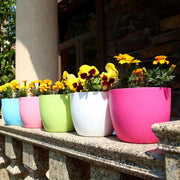 Self Watering Planter Pot
