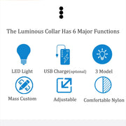 Rechargeable Reflective LED Collar