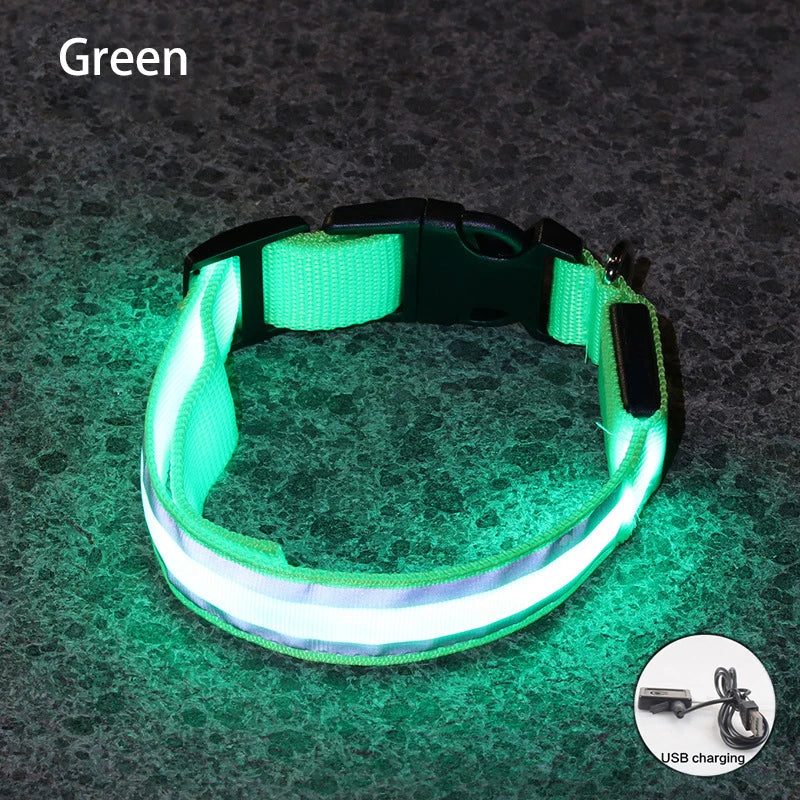 Rechargeable Reflective LED Collar