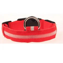 Reflective LED Nylon Collar