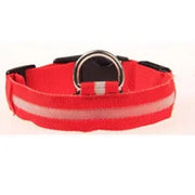 Reflective LED Nylon Collar