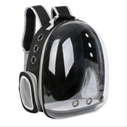 Transparent Pet Carrier Backpack