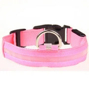 Reflective LED Nylon Collar