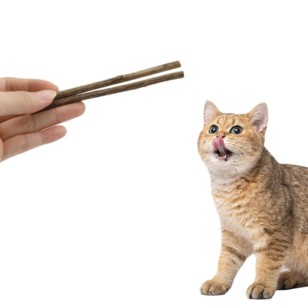Natural Matatabi Cat Chew