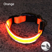 Rechargeable Reflective LED Collar