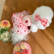 Floral Tulle Dog Dress