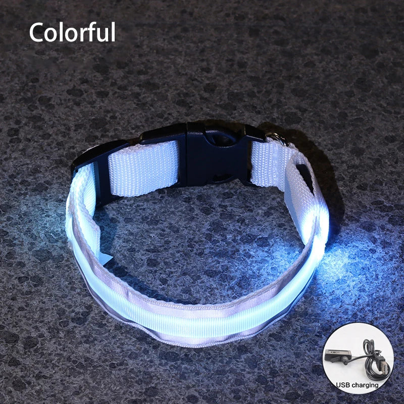 Rechargeable Reflective LED Collar