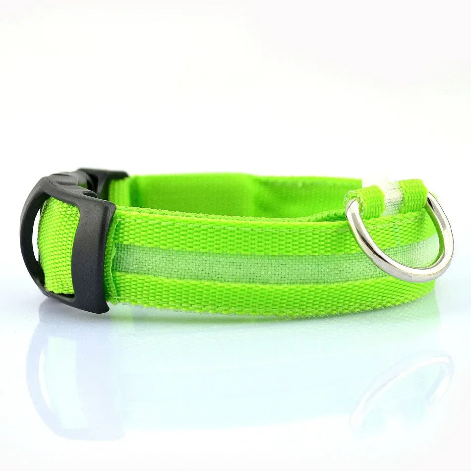 Reflective LED Nylon Collar