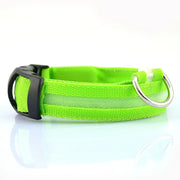Reflective LED Nylon Collar