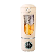 700ML Stainless Smoothie Blender