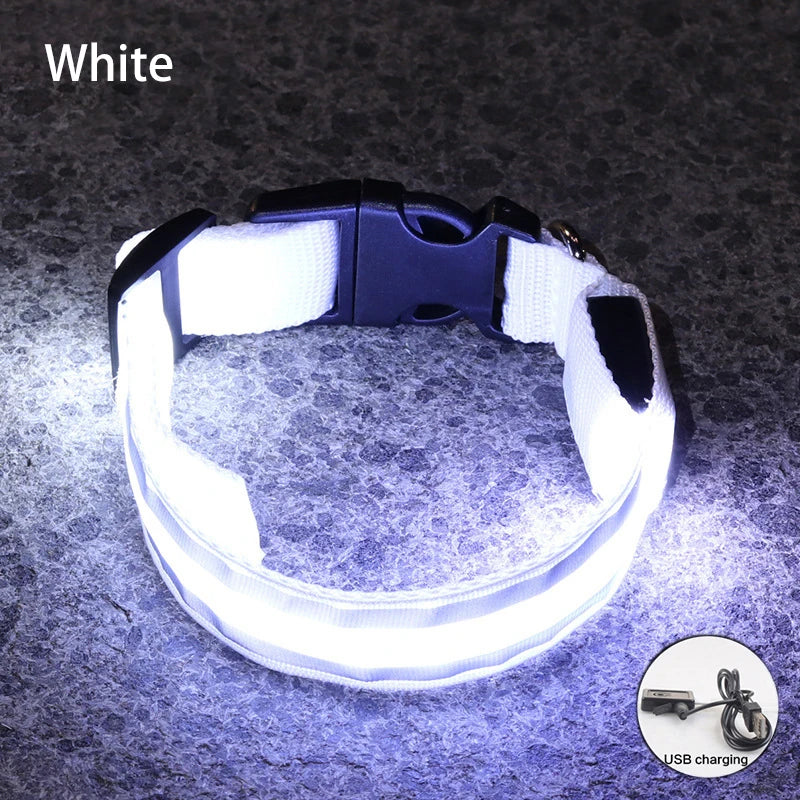 Rechargeable Reflective LED Collar