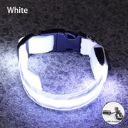 Rechargeable Reflective LED Collar