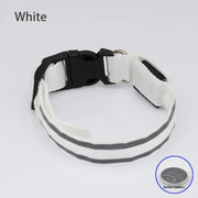 Rechargeable Reflective LED Collar