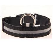 Reflective LED Nylon Collar