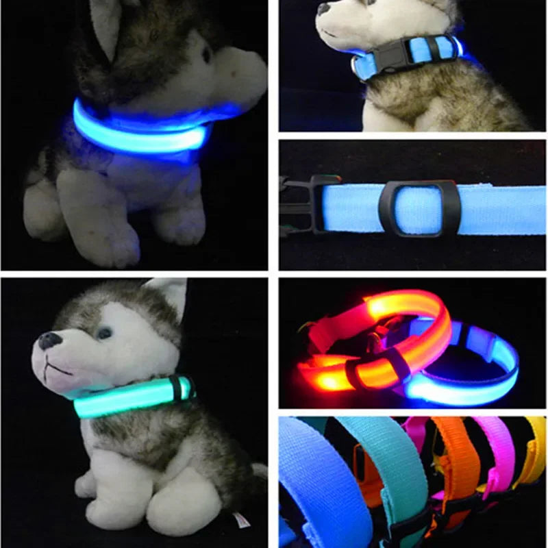 Reflective LED Nylon Collar