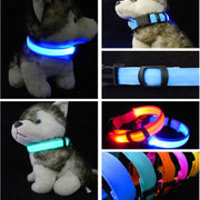 Reflective LED Nylon Collar