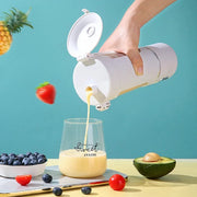 700ML Stainless Smoothie Blender