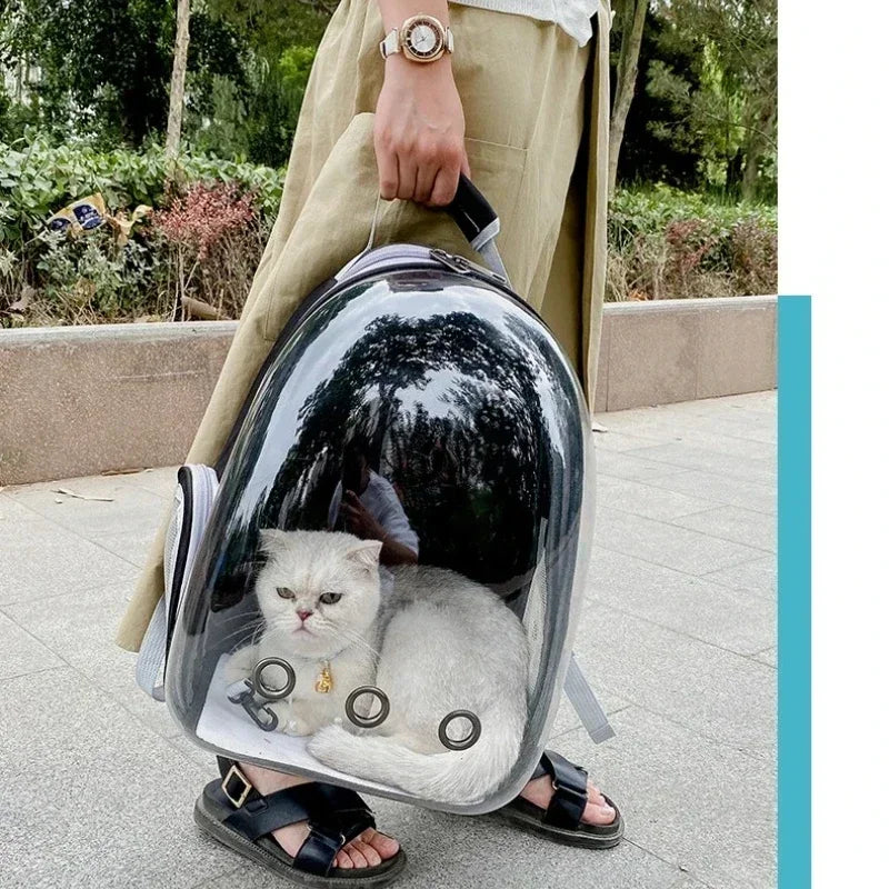 Transparent Pet Carrier Backpack