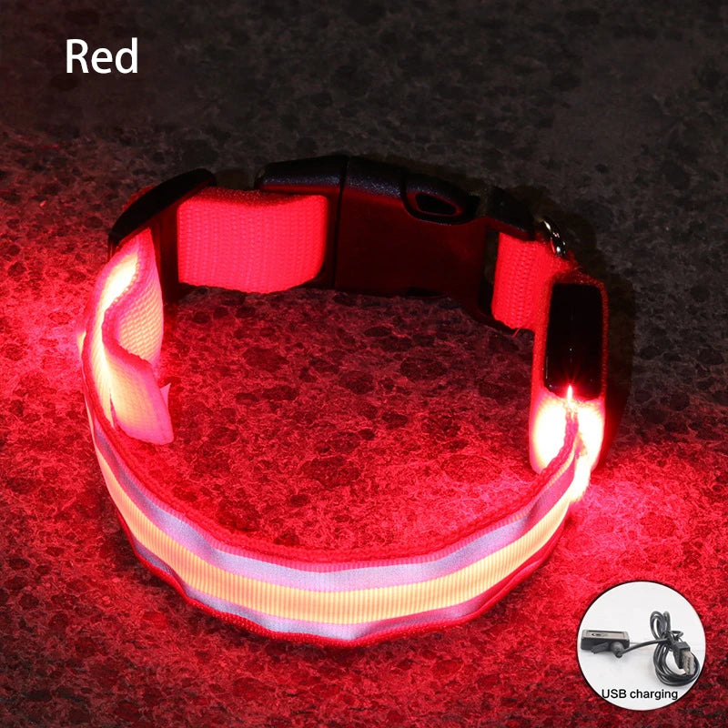 Rechargeable Reflective LED Collar