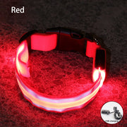 Rechargeable Reflective LED Collar