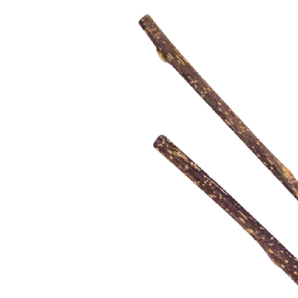 Natural Matatabi Cat Chew