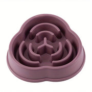 Anti-Choking Slow Feed Bowl