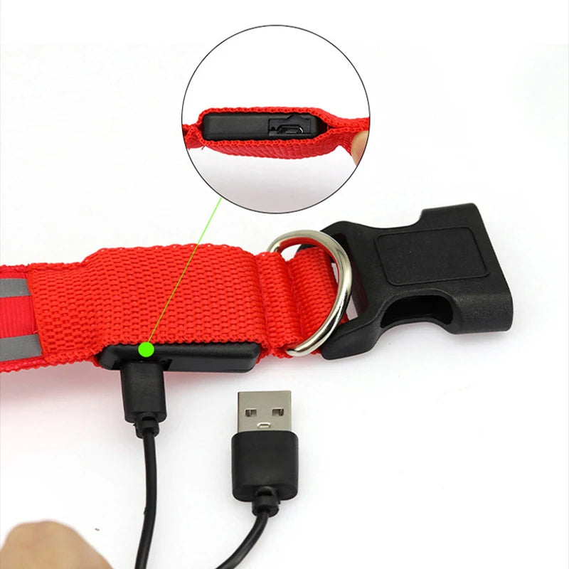 Rechargeable Reflective LED Collar