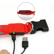 Rechargeable Reflective LED Collar