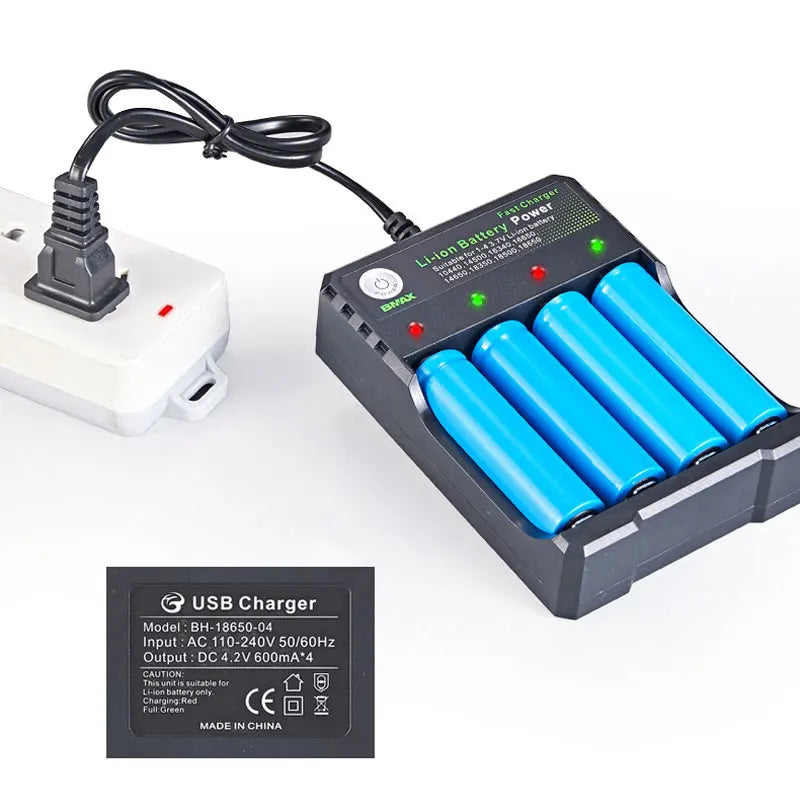 Smart 18650 Battery Charger