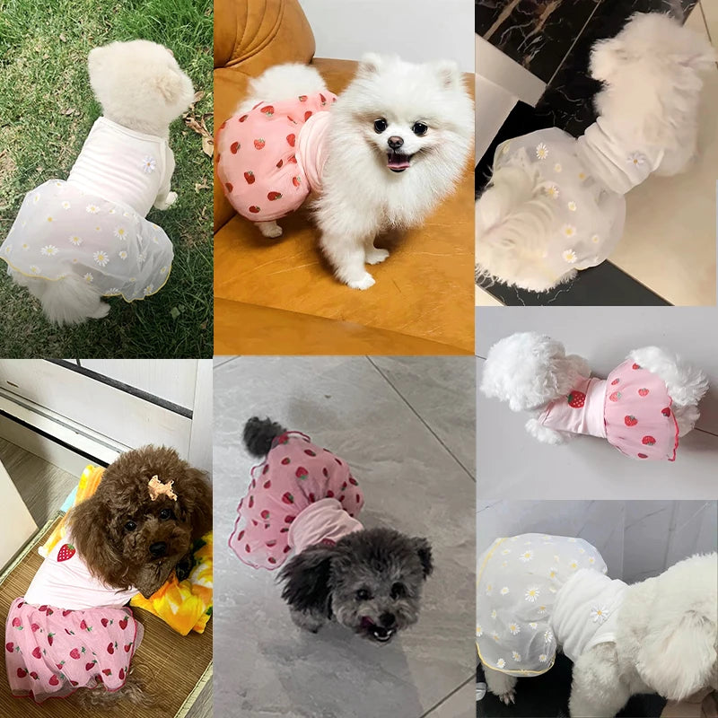 Floral Tulle Dog Dress