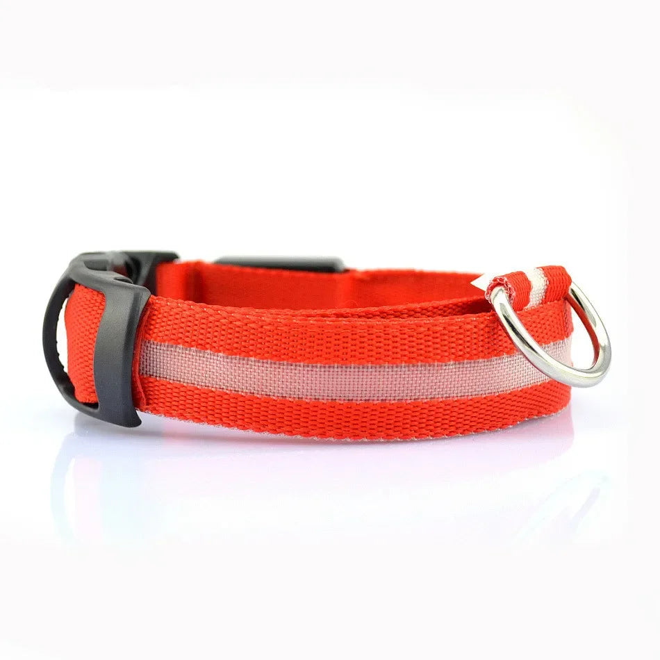 Reflective LED Nylon Collar