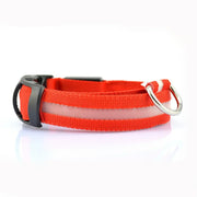 Reflective LED Nylon Collar