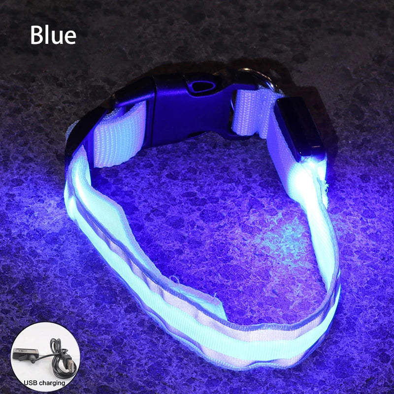 Rechargeable Reflective LED Collar