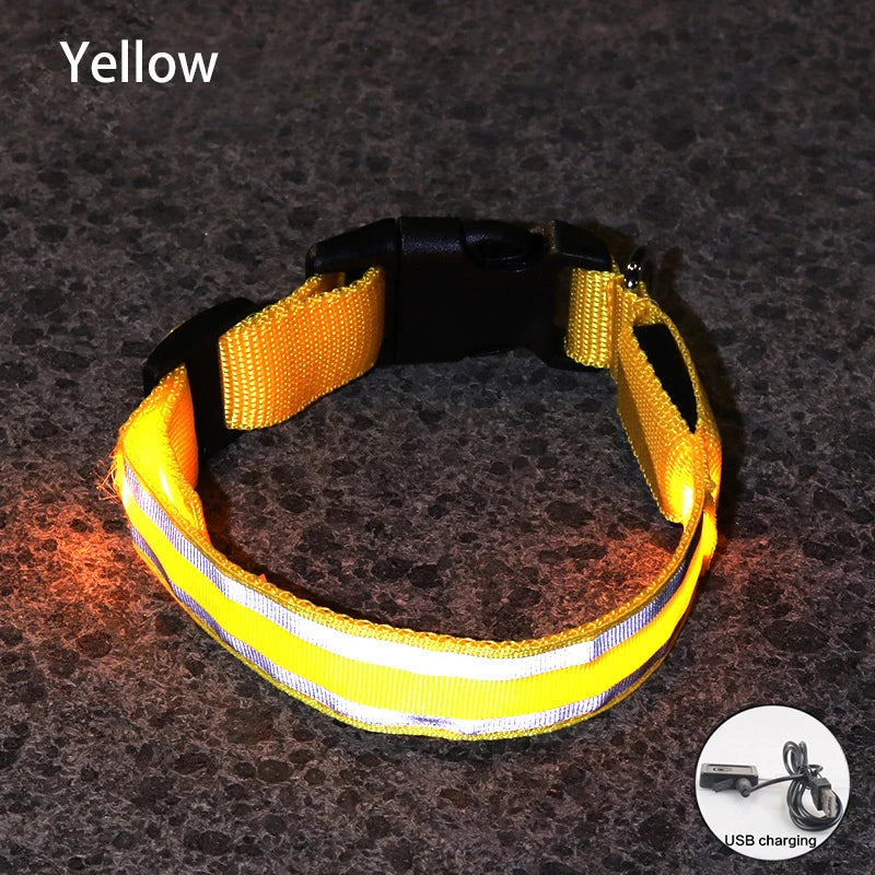 Rechargeable Reflective LED Collar