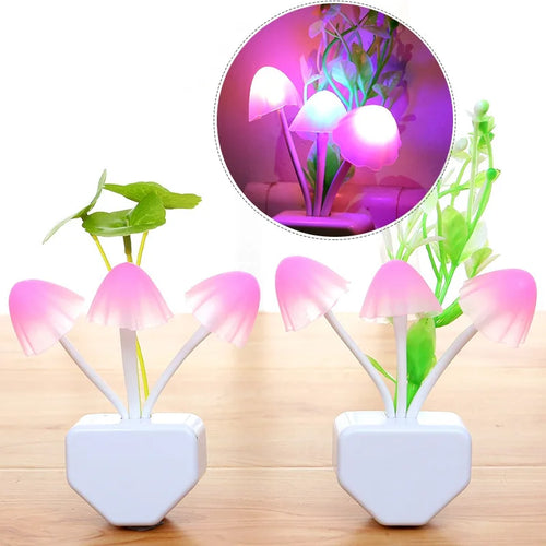 Colorful Mushroom Night Light