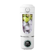 700ML Stainless Smoothie Blender